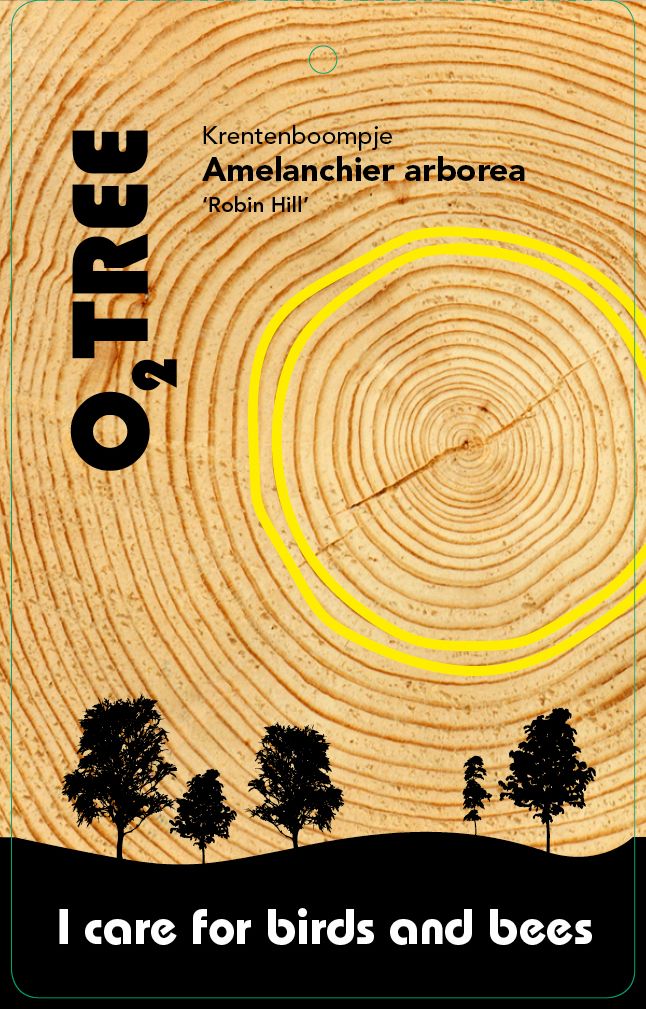amelanchier-arborea-robin-hill-thema